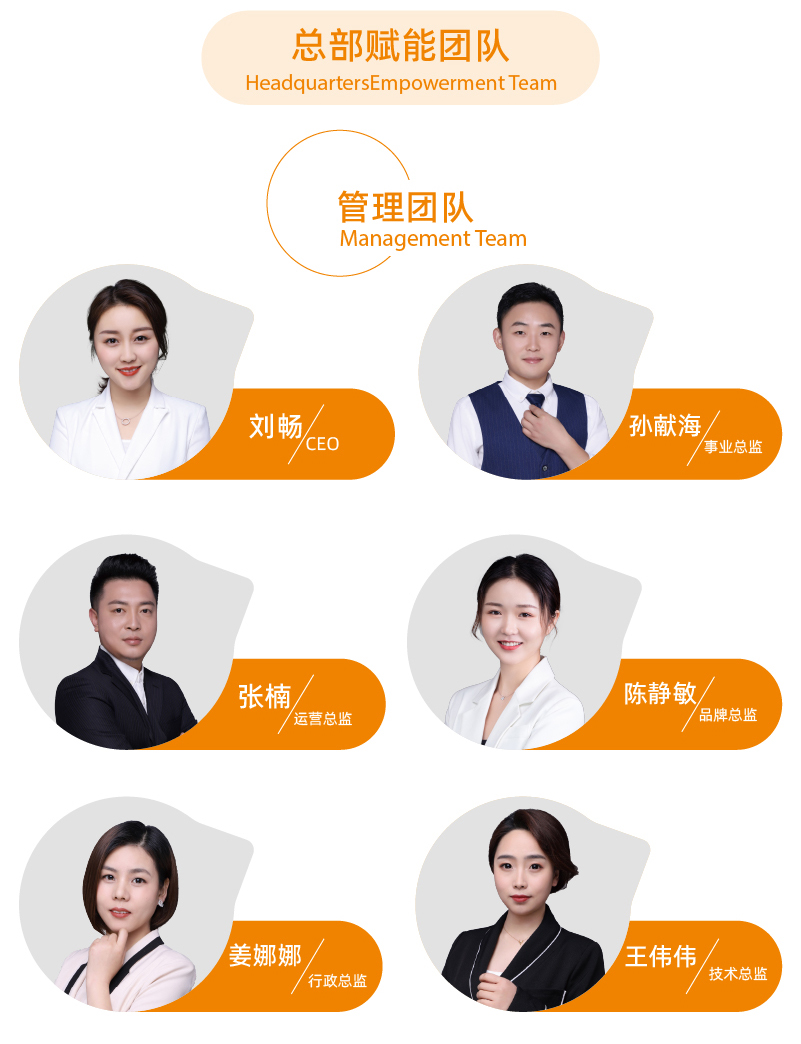 引领右脑品牌实力